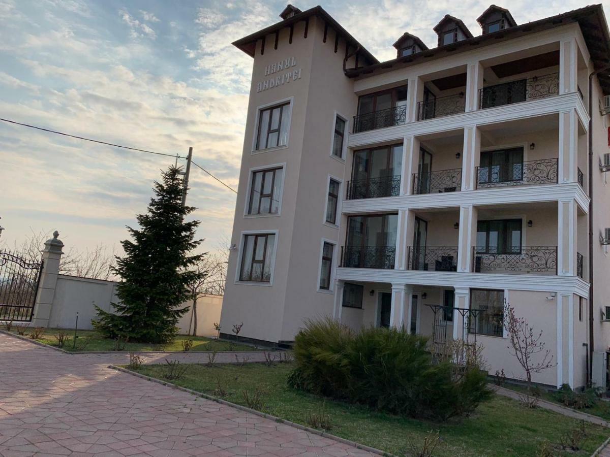 Pension Hanul Andritei Craiova Esterno foto